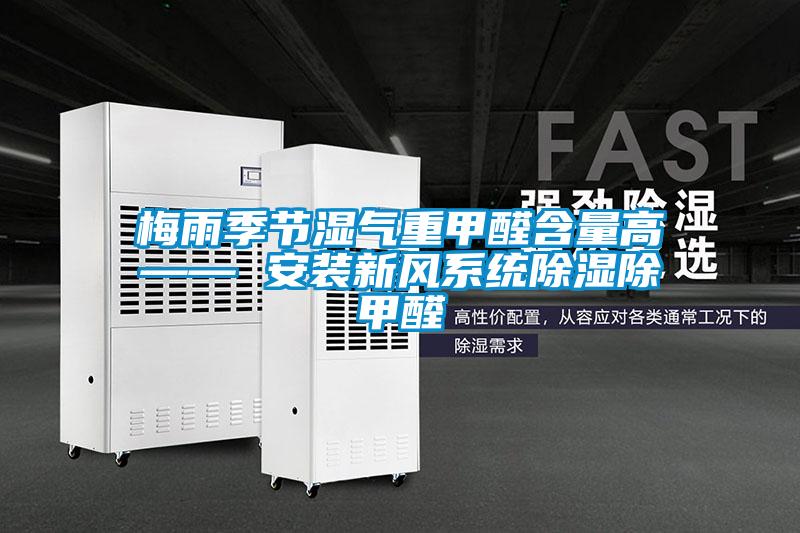 欧美成色手机在线观看 梅雨季节湿气重甲醛含量高—— 安装新风系统除湿除甲醛