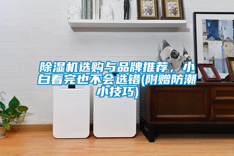 欧美黄色电影在线播放 除湿机选购与品牌推荐，小白看完也不会选错(附赠防潮小技巧)