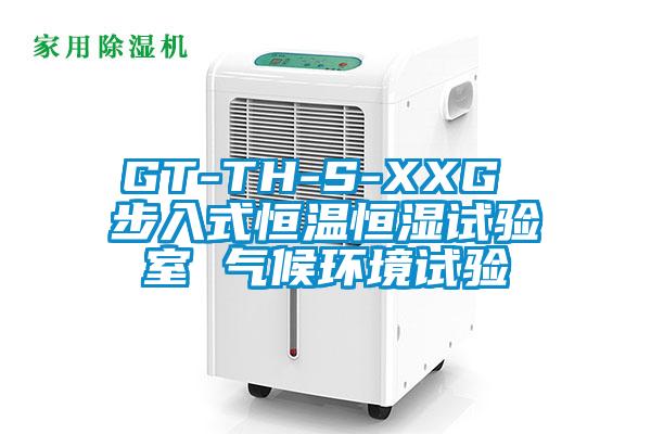 欧美黄色电影在线播放 GT-TH-S-XXG 步入式恒温恒湿试验室 气候环境试验