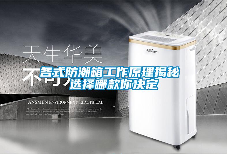 欧美黄色电影在线播放 各式防潮箱工作原理揭秘 选择哪款你决定