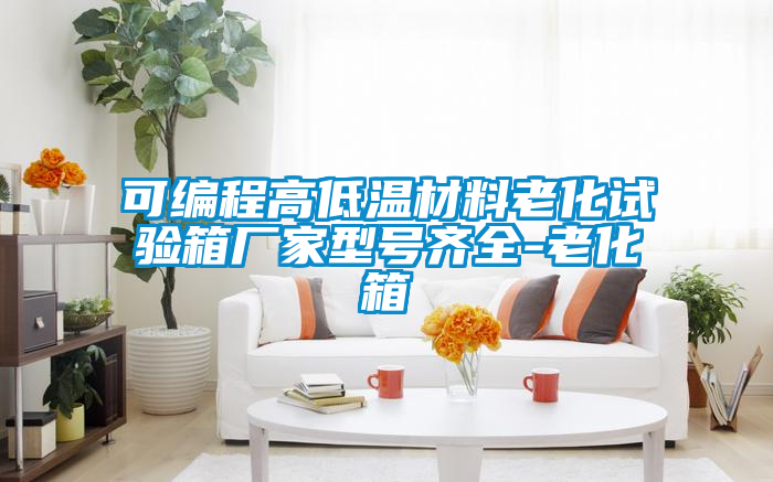 欧美黄色性爱视频网站 可编程高低温材料老化试验箱厂家型号齐全-老化箱