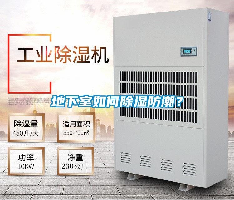 欧美黄色性爱视频网站 地下室如何除湿防潮？