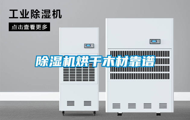 欧美黄色性爱视频网站 除湿机烘干木材靠谱