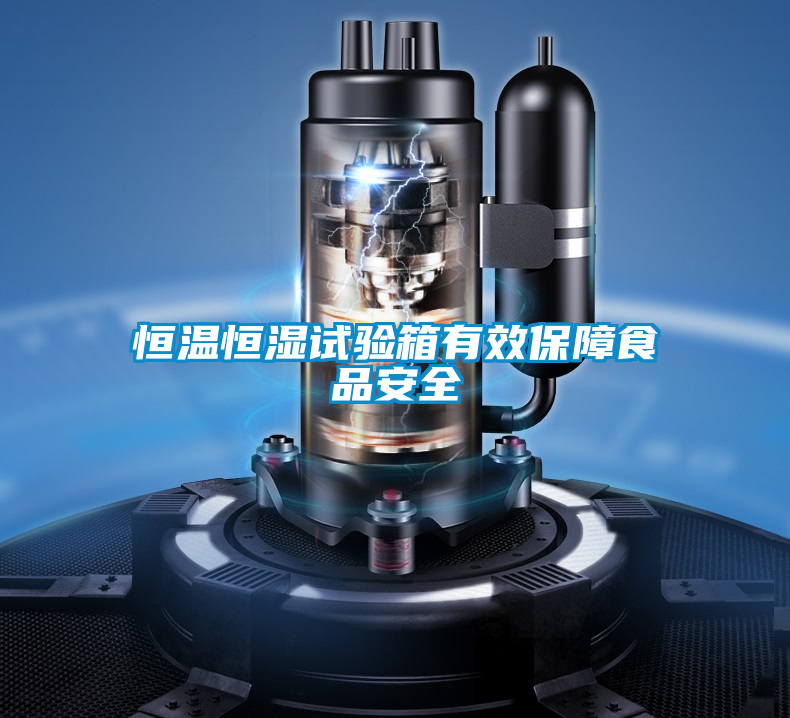 欧美成色手机在线观看 恒温恒湿试验箱有效保障食品安全