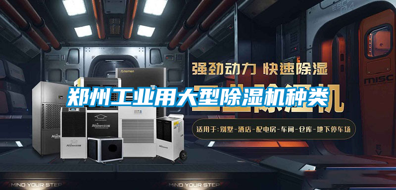 欧美成色手机在线观看 郑州工业用大型除湿机种类