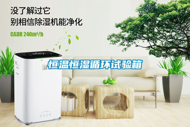欧美黄色电影在线播放 恒温恒湿循环试验箱