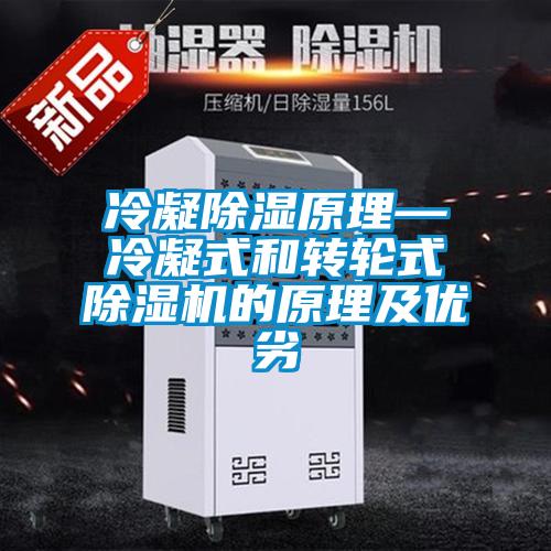 欧美黄色电影在线播放 冷凝除湿原理—冷凝式和转轮式除湿机的原理及优劣