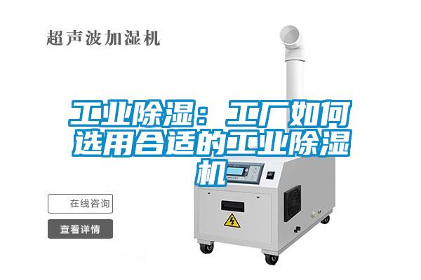 欧美黄色性爱视频网站 工业除湿：工厂如何选用合适的工业除湿机