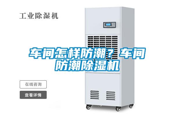 欧美黄色电影在线播放 车间怎样防潮？车间防潮除湿机