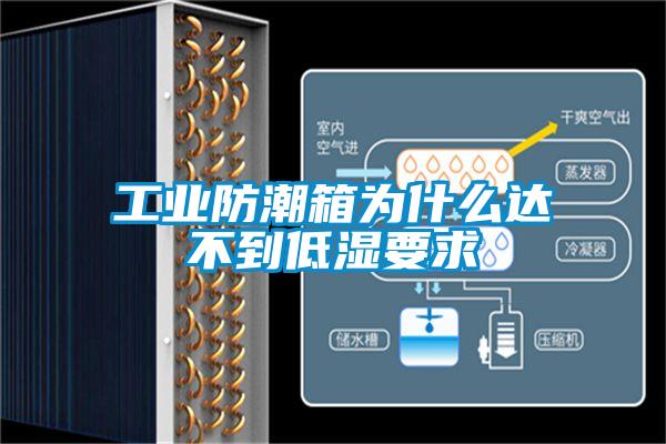 欧美黄色电影在线播放 工业防潮箱为什么达不到低湿要求