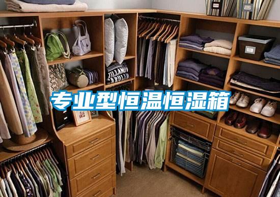 欧美黄色性爱视频网站 专业型恒温恒湿箱