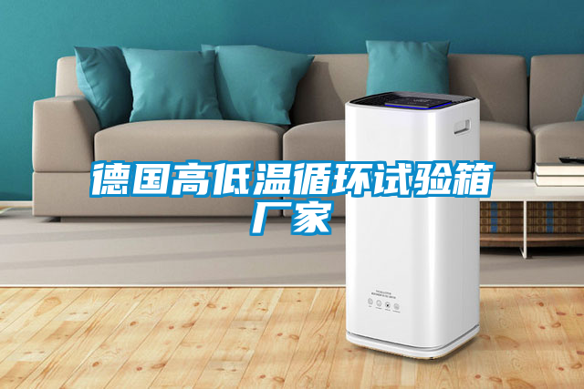 欧美黄色性爱视频网站 德国高低温循环试验箱厂家