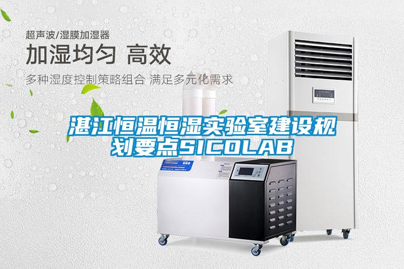 欧美黄色性爱视频网站 湛江恒温恒湿实验室建设规划要点SICOLAB