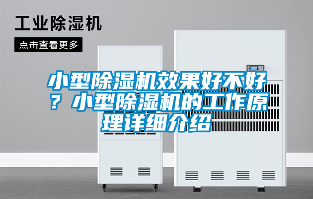 欧美黄色性爱视频网站 小型除湿机效果好不好？小型除湿机的工作原理详细介绍