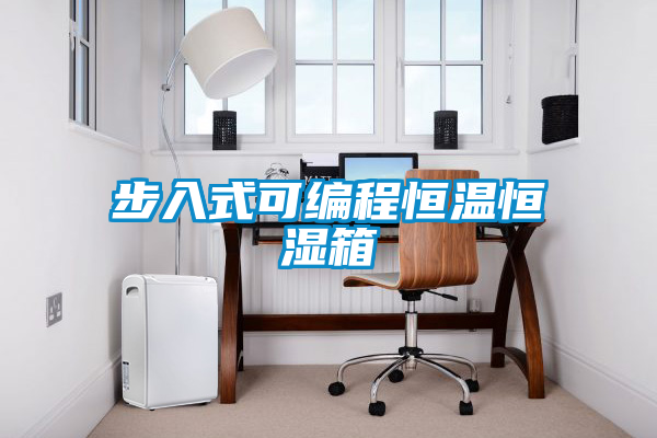 欧美黄色电影在线播放 步入式可编程恒温恒湿箱