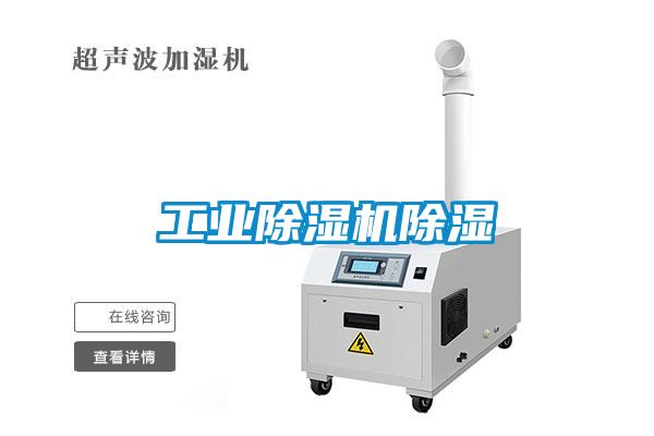 欧美黄色电影在线播放 工业除湿机除湿