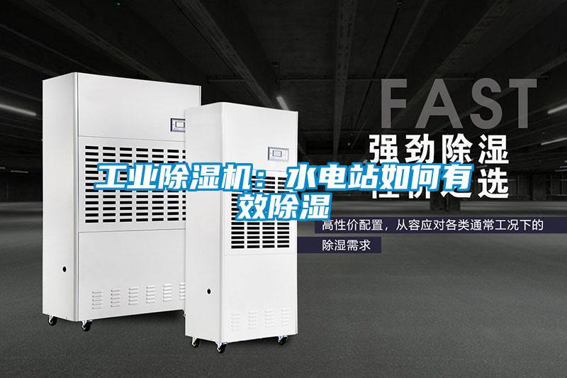 欧美黄色电影在线播放 工业除湿机：水电站如何有效除湿