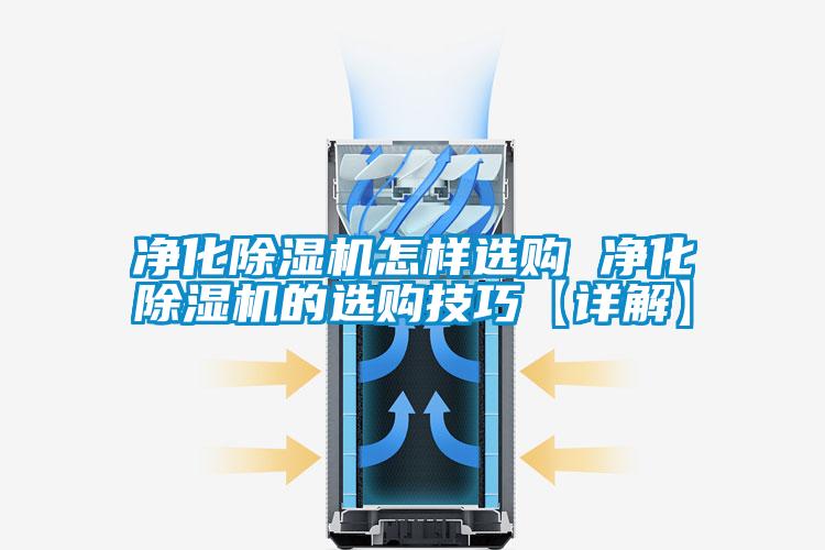 欧美黄色电影在线播放 净化除湿机怎样选购 净化除湿机的选购技巧【详解】