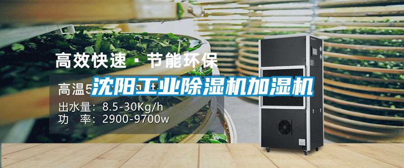 欧美黄色电影在线播放 沈阳工业除湿机加湿机