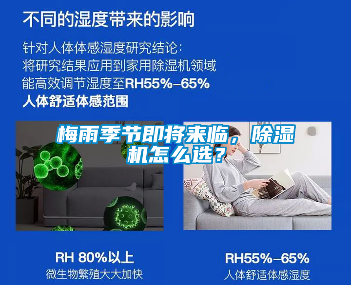 欧美成色手机在线观看 梅雨季节即将来临，除湿机怎么选？