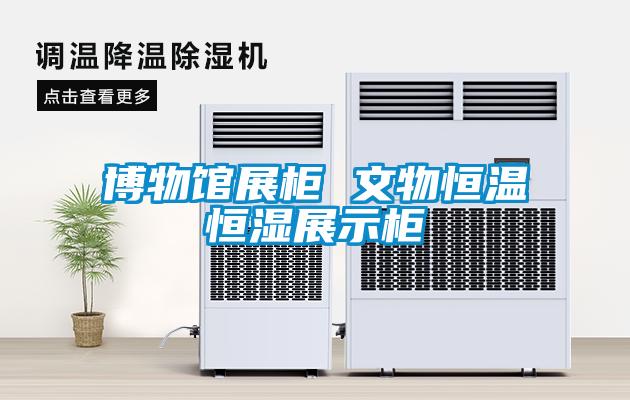 欧美黄色性爱视频网站 博物馆展柜 文物恒温恒湿展示柜