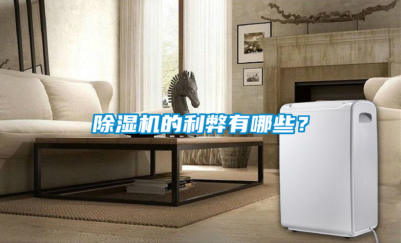 欧美黄色电影在线播放 除湿机的利弊有哪些？