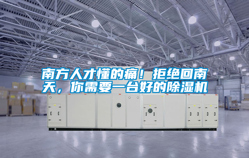 欧美黄色电影在线播放 南方人才懂的痛！拒绝回南天，你需要一台好的除湿机