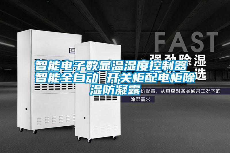 欧美黄色性爱视频网站 智能电子数显温湿度控制器 智能全自动 开关柜配电柜除湿防凝露