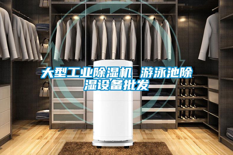 欧美成色手机在线观看 大型工业除湿机 游泳池除湿设备批发