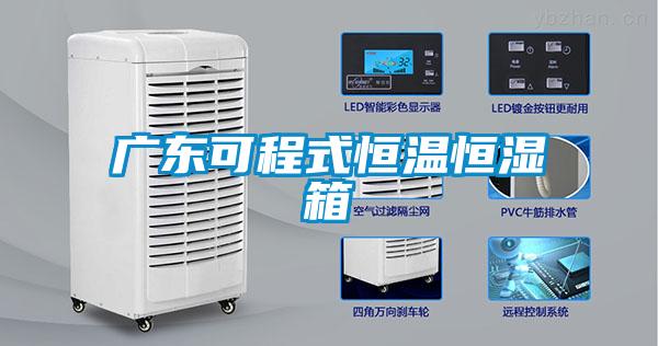欧美黄色电影在线播放 广东可程式恒温恒湿箱