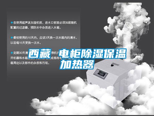 欧美成色手机在线观看 西藏 电柜除湿保温加热器