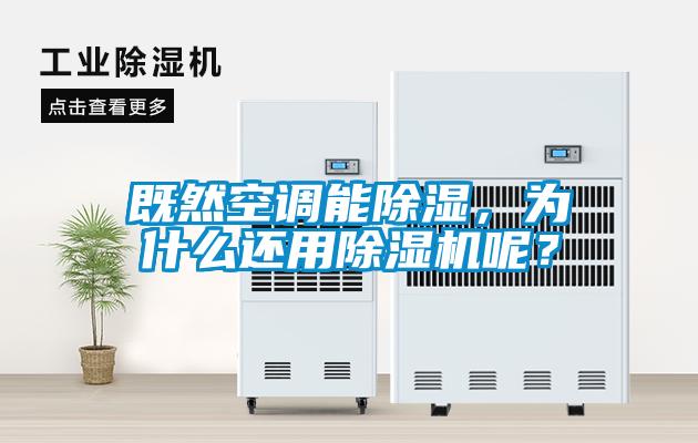 欧美成色手机在线观看 既然空调能除湿，为什么还用除湿机呢？