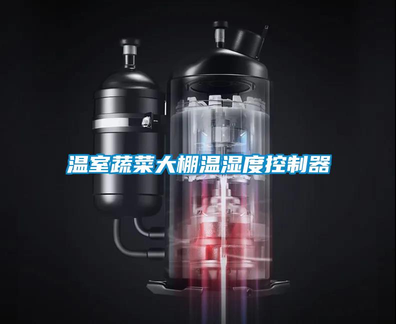 欧美黄色电影在线播放 温室蔬菜大棚温湿度控制器