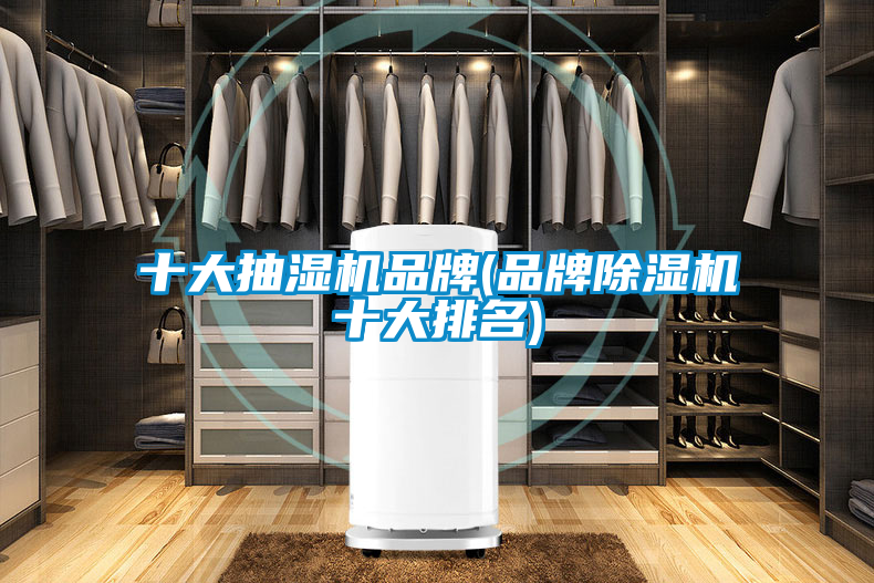 欧美成色手机在线观看 十大抽湿机品牌(品牌除湿机十大排名)