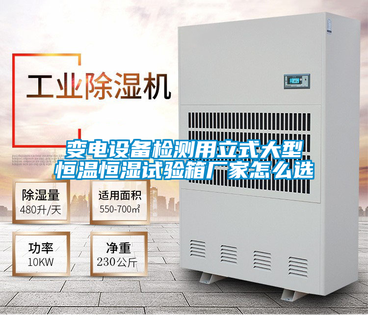 欧美黄色电影在线播放 变电设备检测用立式大型恒温恒湿试验箱厂家怎么选