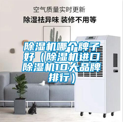 欧美黄色性爱视频网站 除湿机哪个牌子好（除湿机进口除湿机10大品牌排行）