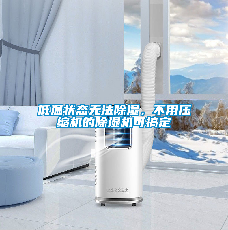 欧美黄色性爱视频网站 低温状态无法除湿，不用压缩机的除湿机可搞定