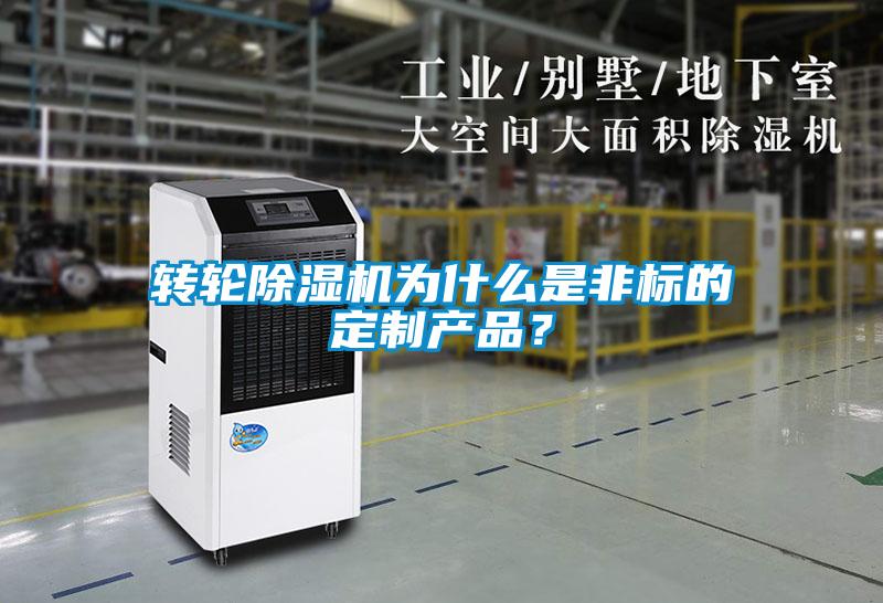 欧美黄色性爱视频网站 转轮除湿机为什么是非标的定制产品？