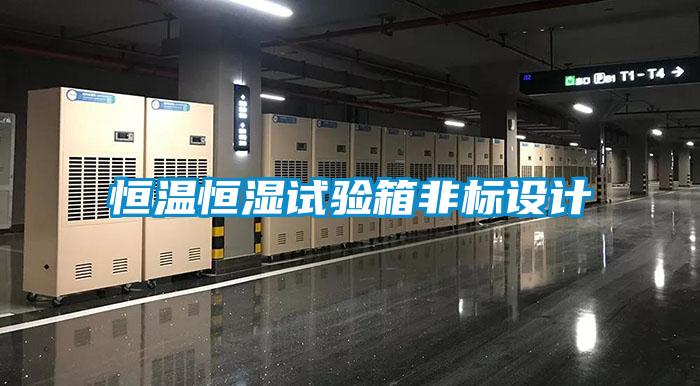 欧美黄色性爱视频网站 恒温恒湿试验箱非标设计