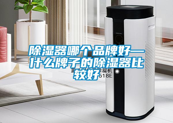 欧美成色手机在线观看 除湿器哪个品牌好—什么牌子的除湿器比较好