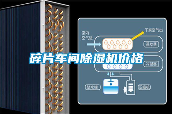 欧美黄色性爱视频网站 碎片车间除湿机价格