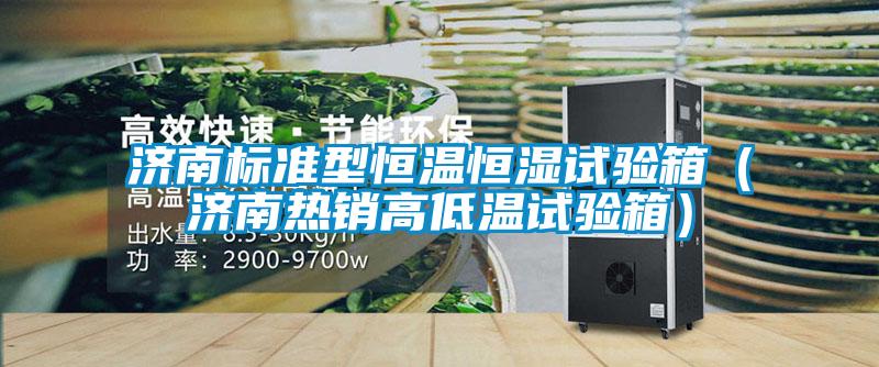 欧美黄色性爱视频网站 济南标准型恒温恒湿试验箱（济南热销高低温试验箱）