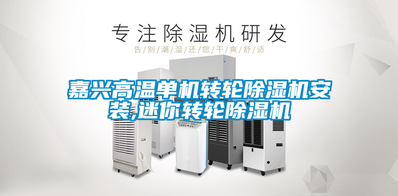 欧美黄色电影在线播放 嘉兴高温单机转轮除湿机安装,迷你转轮除湿机