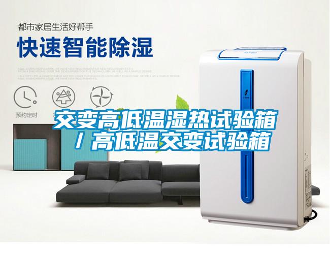 欧美黄色性爱视频网站 交变高低温湿热试验箱／高低温交变试验箱