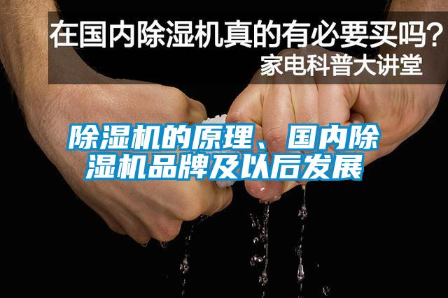 欧美黄色性爱视频网站 除湿机的原理、国内除湿机品牌及以后发展