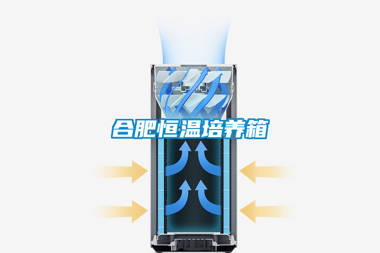 欧美成色手机在线观看 合肥恒温培养箱
