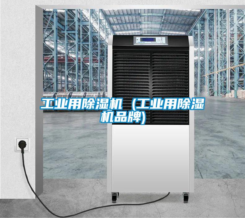 欧美黄色电影在线播放 工业用除湿机 (工业用除湿机品牌)