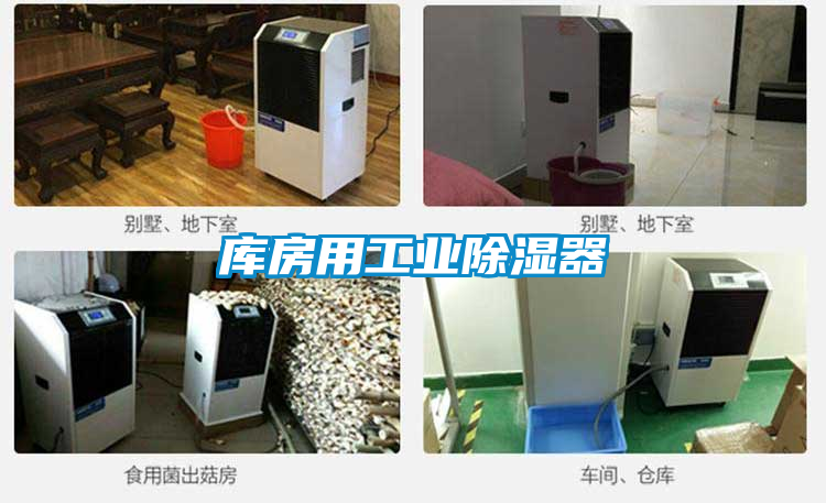欧美成色手机在线观看 库房用工业除湿器