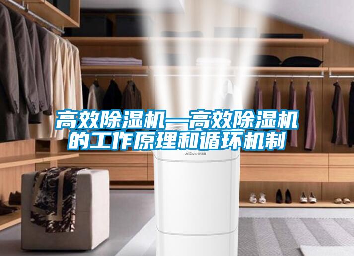 欧美黄色性爱视频网站 高效除湿机—高效除湿机的工作原理和循环机制