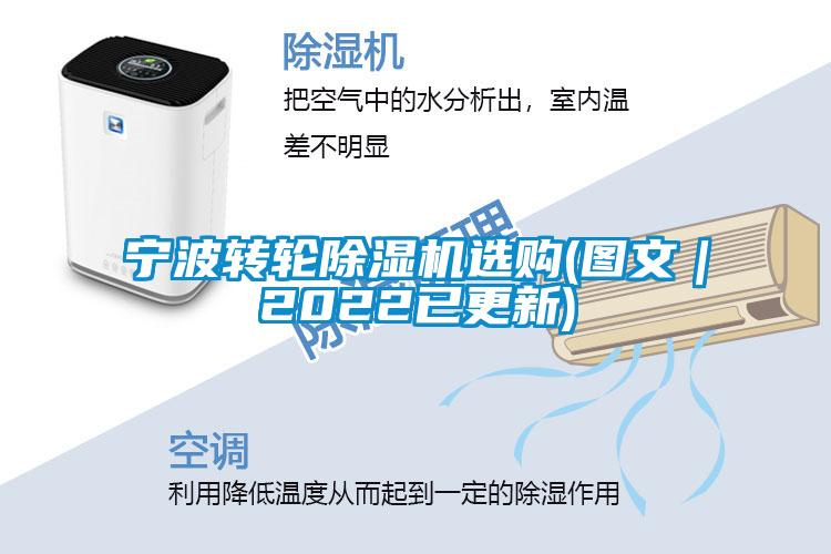 欧美黄色电影在线播放 宁波转轮除湿机选购(图文｜2022已更新)